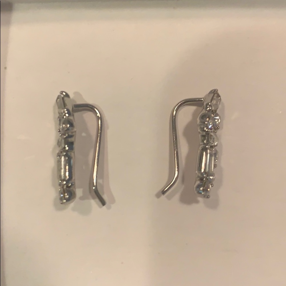 Ear Climbers View 2